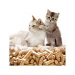 Toru Bahçe Kedi Kumu Doğal Çam Pelet 50 Lt