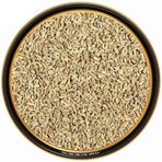 TOS The Organic Spices 100 gr Anason Tohumu