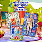 Tox 3 Set -106 Parça Tox Iç Organlar , Iskelet Sistemi ve Takvimi Öğreniyorum Keçe Cırtlı Duvar Panoları , Eğitici Oyuncak - Renkli