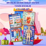Tox 4 Set 151 Parça Tox Iskelet , Iç Organlar Sistemi , Takvim ve Rakamları Öğreniyorum Keçe Cırtlı Duvar Panoları , Eğitici Oyuncak - Renkli