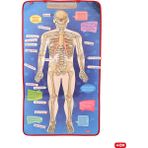Tox Iskelet Sistemi Keçe Duvar Panosu