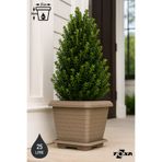 ToXA 25 Litre Tabaklı Hisar Kale Saksı 37cm Kare Büyük Boy Plastik Bahçe Bitki Çiçek Saksısı