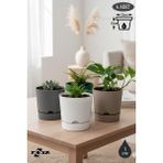 ToXA 4 Adet 1 Litre Begonya Saksı Seti 12cm Mat Plastik Drenajlı Tabaklı Çiçek Saksısı Set - Renkli - 1L Set