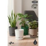 ToXA 4 Adet 9 Litre Begonya Saksı Seti 25cm Mat Plastik Drenajlı Tabaklı Çiçek Saksısı Set - Renkli - 9L Set