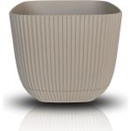 Toxa 4 Litre Bej Mercan Kare Saksı Plastik Çiçek Bitki Kaktüs Sukulent Saksısı No4