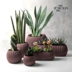 ToXA 6 Parça Mercan Saksı Seti Soft Pembe
