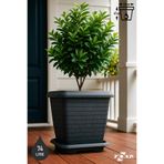 ToXA 74.3 Litre 53x53x47cm Antrasit Kare Büyük Boy Tabaklı Plastik Hisar Kale Saksı No5 Mat