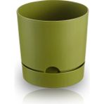 ToXA 9 Litre Begonya Saksı 25cm Mat Plastik Drenajlı Tabaklı Çiçek Saksısı - Yeşil - 9L