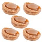 TOYANDONA Minyatür Abalone Modelleri 5 Adet Mini Gıda Aksesuarları Dekoratif Sahte Gıda Erkek Ve Kız Çocukları İçin Rol Yapma Oyunu