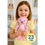Toyfest BlueyPlus Floppy Tavşan Renkli Kulaklı Yumuşak Peluş Oyuncak Çocukların Sevdiği Sevimli Arkadaş 23Cm
