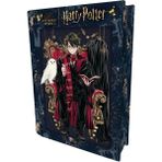 Toyfest Prime 3D Harry Potter Metal Kutu Puzzle 300 Parça