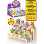 TOYFEST Sürpriz Saksı Çiçekleri Sukulent Serisi 3D Puzzle - 1 ADET