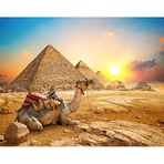 Toynk Giza Gündoğumu Antik Mısır Piramit Yetişkinler ve Çocuklar için Bulmaca | Zor 1000 Parça Puzzle Oyuncak | Eğlenceli Karantina Hediyesi | Oyun Gecesi için İnteraktif Zeka Mücadelesi