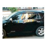 Toyota Rav 4 Krom Cam Çıtası 4 prç. 2006-2013 Paslanmaz Çelik