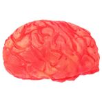 Toyvian 1 Bilgisayar Cadılar Bayramı Simülasyon Beyin Cadılar Bayramı Kanlı Cadılar Bayramı Vücut Parçaları Pervane Gerçekçi Insan Organları Sahte Kulak Kütük Vinil Peluş Oyuncak