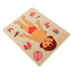 Toyvian 1 Takım Insan Vücudu Yapısı Bulmaca Bulmacaları Blokla Peluş Anatomi Oyuncak Eğitici Oyuncaklar Insan Vücudu Parçaları Oyuncak Organ Biliş Oyuncak Öğretim Tesisi Çocuk Odun Gövde