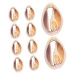 Toyvian 10 Parça Plaj Bebek Boncukları Doğal Kolye Takılar Zanaat Takılar Deniz Kabuğu Takı Işçiliği Bulguları El Yapımı Takı Aksesuarları Deniz Kabuğu Dekoru Diy Takı Takılar Beige Kabuk
