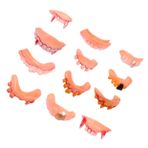 Toyvian 12 Adet Cadılar Bayramı Takma Dişleri Yapay Dişler Sahte Vampir Dişleri Korkutucu Tıkaç Oyuncak Cadılar Bayramı Sahte Dişler Cadılar Bayramı Kan Makyajı Hediye Çocuk Fotoğraf Pvc