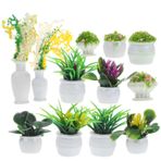 Toyvian 13 Adet Mini Saksı Modeli Bebek Evi Yapay Saksı Bitkileri Minyatür Yapay Sahte Bitkilersahte Etli Set Saksılı Oyuncak Ev Çiçeği Küçük Bonsai Saksısı Plastik Yeşil Bitkiler