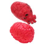 Toyvian 2 Adet Kanlı Vücut Sahne Cadılar Bayramı Insan Organları Dekorları Simülasyon Insan Organı Yapay Organ Parçaları Sahte Korkutucu Kalp Manken Vinil Dekorasyon Sahte Makyaj Yapmak