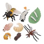 Toyvian 2 Takım Simülasyon Büyüme Döngüsü Büyüme Günlüğü Yaşam Evreleri Hayvan Modeli Süslemeleri Böcekler Figürleri Oyuncaklar Yaşam Döngüsü Bir Heykelcik Plastik Ve Çocuk Bulmaca
