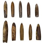 Toyvian Balık Oku Taş Fosili Fosil Örneği Paleontoloji Örneği Paleontoloji Süsleme Tibet Fosilleri Paleontoloji Fosilleri Simülasyon Modelleri Tahnitçilik Izlemek Masaüstü Çocuk Cevher