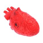 Toyvian Kırık Vücut Parçaları Sahte Kanlı Kalp Beyin Cadılar Bayramı Kalp Pervane Kanlı Vücut Organı Korkunç Gerçekçi Vücut Organ Parçaları Cadılar Bayramı Kanlı Süs Insan Vücudu Oyuncak