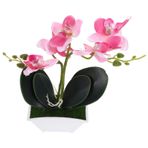 Toyvian Küçük Saksı Bitkisi Yapay Bonsai Bitkisi Masaüstü Yapay Çiçek Gerçekçi Saksı Çiçeği Sahte Çiçek Vazo Sahte Beyaz Orkide Gerçekçi Bonsai Ağacı Sahte Masa Ipek Çiçek Sahte Mini