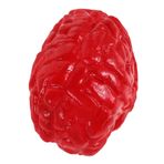 Toyvian Simüle edilmiş beyin sahne cadılar bayramı insan beyni sahte insan beyni kopmuş sahte vücut parçaları cadılar bayramı sahte beyin oyuncağı sahne organ desteği emülsiyon kırmızı