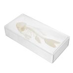 Toyvian Tatlı su balık iskeleti örneği yapay akvaryum çocuklar mini oyuncak balık kılçığı süsleme eğitici örnek balık kılçığı modeli balık kemiği dekorasyon plastik