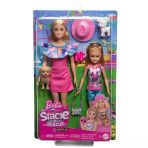 Toyz Dükkanım Hrm09 Barbie Ve Stacie Kız Kardeşler İkili Set - Barbie & Stacie To The Rescue Kız Erkek Çocuk Oyunc