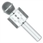Toyz Dükkanım Karaoke Kablosuz Mikrofon Kız Erkek Çocuk Oyuncak Eğitici Oyuncaklar