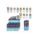 TOYZZERSTECH Sonny Angel Bluey Hipper Serisi - Tekli Paket Rastgele Model