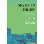 Tozu Kalsın Everest Yayınları
