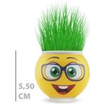Tp Buğz Çim Adam Saksı Emoji Figürlü 1 Adet