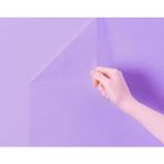 Tp Buğz Kendinden Yapışkanlı Şeffaf Tahta Filmi - 2 Metre x 60 cm