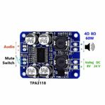 TPA3118 60W Mono Digital Ses Amfi Modül DC 12V-24V Tek Kanal Class D Amplifikatör Amfi Amplifier