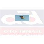 TPART 31208 Tevzi Makarası R21 Concorde 2.0 91-97 -Espace 2.0 91-97 Ürün
