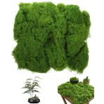 TPZORJX 100 g yosun dekorasyonu, dekorasyon için suni yosun, el işi için yosun, İzlanda yosunu, yapay bitki, el işi için suni çim, yapay bitkiler, yapay bitkiler, akvaryum, beşik model yapımı için