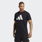 Tr-Es Fr Logo T
