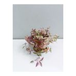 Tradescantia Telgraf Çiçeği Fidanı Pembe 10-20 Cm
