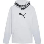 Train Pwr Fleece Erkek Gri Antrenman Sweatshirt 52089399