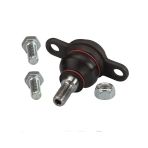 Transporter Rotil T5 Alt