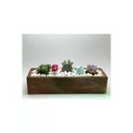 TREE MAN İSMET PERİM 689835124152 Dekoratif Ahşap Ceviz Renk Kutu Sukulent Ve Kaktüs Saksı 40X10X8 Koyu Renk