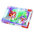 Trefl 16250 Disney Princess 100 Parça Puzzle