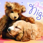 Trefl Good Night 60 Parça Puzzle