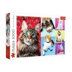 Trefl Happy Cats 1000 Parça Puzzle
