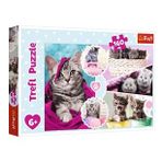 Trefl Lovely Kittens 160 Parça Puzzle