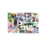 Trefl On The Trail Treflik Family 60 Parça Puzzle