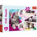 Trefl Puzzle Lovely Kittens 160 Parça Puzzle